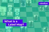What is a Label Map?