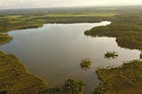 Descubre la esencia del Llano en el Festival de Verano de Puerto Lleras, Meta