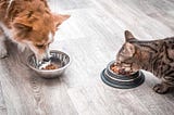 Marketing Food Safety Tests for Pet Food Safety | FounderTraction