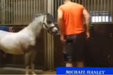 Michael Hanley Horse Video Mr Hands The Full Viral Twitter, Reddit