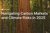 Data ReFined #47: Navigating Carbon Markets and Climate Risks in 2025