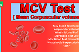 Mcv Blood Test (Mean corpuscular volume)