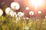 6 Mental Techniques for Appreciating Life