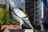 RIP The High Line Pigeon, My Favorite New York Weird