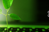 Green Coding Guidelines — Towards Sustainable Software