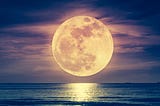 Fly Me to the Moon