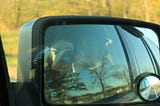 Organisations need split rear mirrors