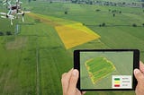 Vegetation Index: How Is It Used in Precision Agriculture?