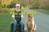 Traveling with Pets: Tips for a Safe and Enjoyable Journey