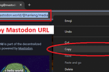Mastodon downloader for images and videos