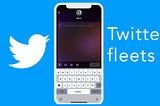 What Led to the Invention of Twitter Fleets?