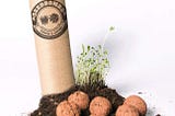 All You Need to Know About Seed Bombs