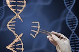 CRISPR: An Essential Introduction