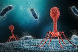 Phage Therapy: The Solution to Superbug Domination