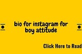bio for Instagram for boy attitude updated (2020)