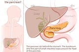 Pancreas and Acute Pancreatitis