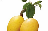 What are the Ingredients of Marula Oil?