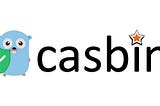 Casbin, an alternative to validate user permissions