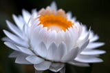 How to Meditate Every Day