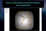 Setup a High Content Screening Imaging Platform with Label Studio