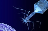 Our World is Doomed but Phage Therapy Could Save Us