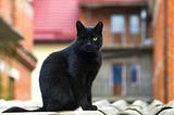 Kittens And Puppies in Dreams: Unveiling Mystic Meanings