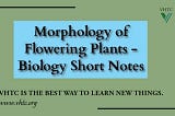 Morphology of Flowering Plants - Biology Short Notes 📚