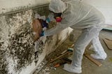 Mold Remediation, Testing, Removal After Water Damage