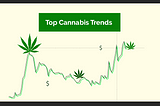 7 Emerging Trends of The Cannabis Industry That You Must Know About!