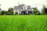 https://www.bobvila.com/articles/types-of-grass/?bv=mr#.WQyinOUrLIU