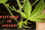 Demystifying Hemp Fabrics