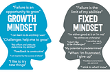 How to improve ourselves in terms of growth mindset, grit, focus on consumer and make it happen…