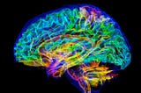 7 Things in Your Home That Are Quietly Affecting Your Brain