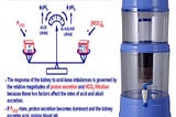 Benefits Of Alkaline Water In Hindi — Alkaline Water ke Fayde — Water Explain 2021