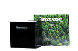 Combat smog and air pollution with Indoor Forest Air Purifier