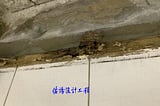 白蟻吃光天花板結構角材,那重新整修該怎麼處理?