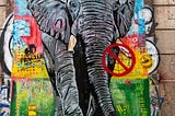 The Urban Elephant