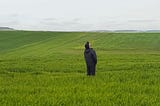 What I Learned in Silence