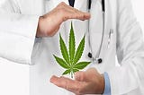 https://www.timesofhemp.com/marijuana-startups/