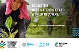 Welcome to the UN Decade of Ecological Restoration 🌳