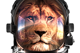 Ingonyama Seed Funding Announcement