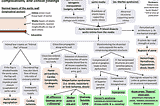 Aortic Dissection — Pathogenesis, Complications and Clincal Findings