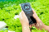 The rapidly evolving world of AI agriculture is taking hydroponics technology to new heights. Learn about the benefits of AI-powered hydroponics in promoting efficient and eco-friendly farming methods.