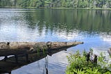 A landscape photo of a log sitting in a calm lake.