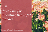 Best Tips for Creating Beautiful Garden Landscapes