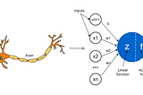 Unraveling the Mysteries of the Artificial Neuron: The Building Blocks of Intelligent Systems