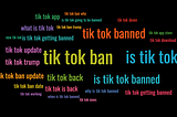 Users Waited Until the Day the App Went Dark to Download Tik Toks