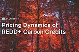 Data ReFined #49: Pricing Dynamics of REDD+ Carbon Credits