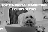 Top Ten Digital Marketing Trends for 2022