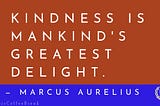 294 — The Ripple Effect of Small Acts of Kindness: A Stoic Perspective